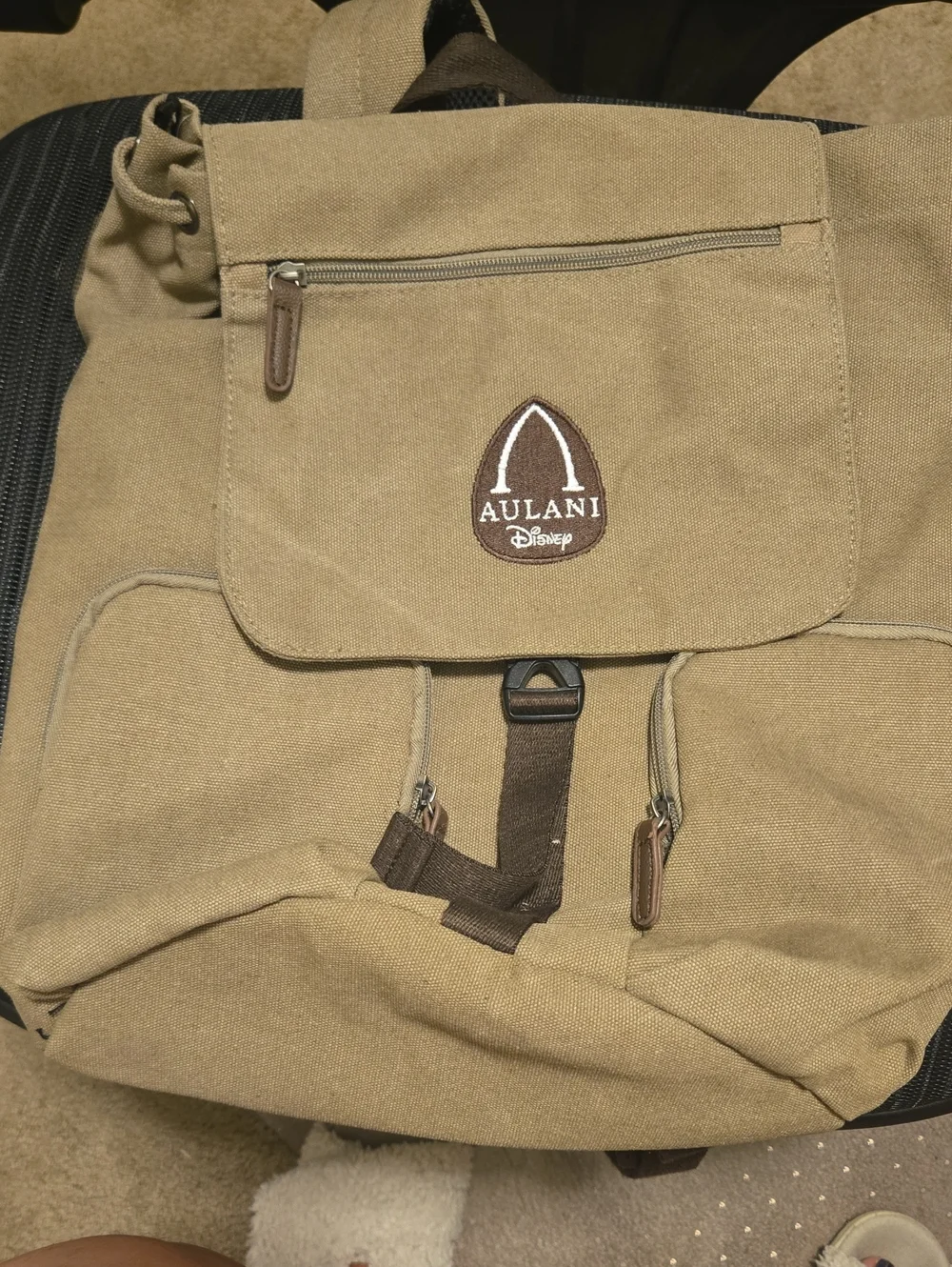 Men's Tan Canvas Backpack